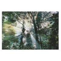 Schilderij Home ESPRIT Groen Bedrukt 150 x 0,4 x 100 cm - thumbnail