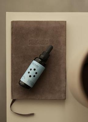 Mind Studio Biologisch Reishi Extract