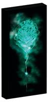 Harry Potter Canvas Poster (With Light) - thumbnail