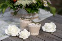 Santex Rozen Wit - thumbnail