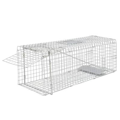 VidaXL Levendeval gegalvaniseerd 80 cm