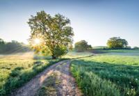 Noordwand Komar Colours Fotobehang Meadow Trail - 8-134 - thumbnail