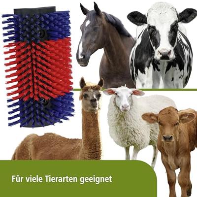 Halfronde koeborstel veeborstel blauwrood xl