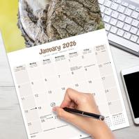 Eekhoorn Kalender 2026 - thumbnail