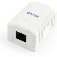 CAT5E UTP LAN-opbouwdoos, 1-poorts - thumbnail