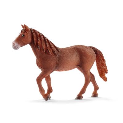 Schleich figuur Morgan merrie 13870