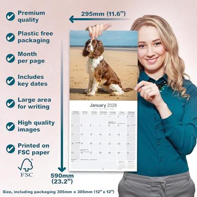 English Springer Spaniel (Euro) Calendar 2026 Square Dog Breed Wall Calendar - 16 Month