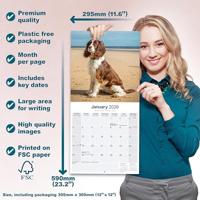 Engelse Springer Spaniel Kalender 2026 - thumbnail