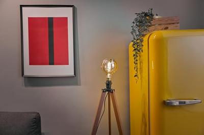 Shelly Vintage G125 ledlamp