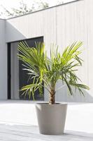 Ecopots Amsterdam kunststof bloempot Taupe - Ø 36,6 cm - thumbnail
