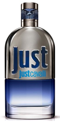 Herenparfum Just Cavalli Roberto Cavalli EDT 90 ml