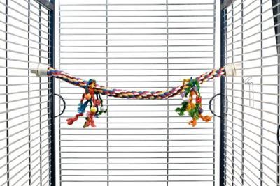 Papegaaien zitstok Papegaaien zitstok