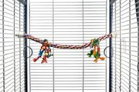 Papegaaien zitstok - thumbnail