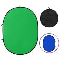VidaXL Achtergrondscherm studio 2-in-1 ovaal 200x150 cm groen en blauw - thumbnail