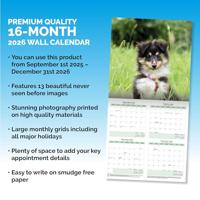 Shetland Sheepdog Kalender 2026 - thumbnail