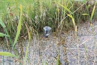 P. solar 600 control Pontec - Pontec - thumbnail