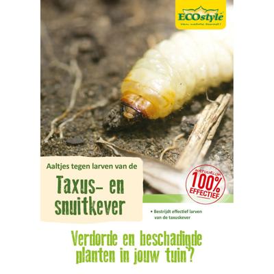 Ecostyle aaltjes tegen larven taxus-kever H 500 m²