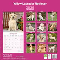 Labrador Retriever Blond Kalender 2026 - thumbnail