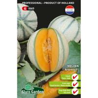 Meloen Artemis F1 - thumbnail