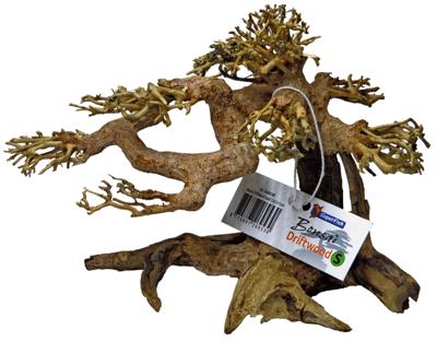 Bonsai Driftwood S aquaria SuperFish - Superfish