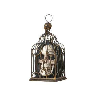 Halloween Decoraties Schedel 33 x 17 x 17 cm Wit