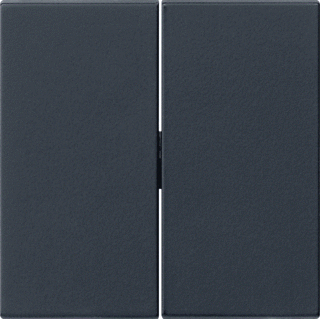 Gira 2-voudige schakelwip Systeem 55 mat zwart