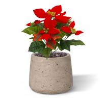 Poinsettia kunstplant 25cm - rood - thumbnail