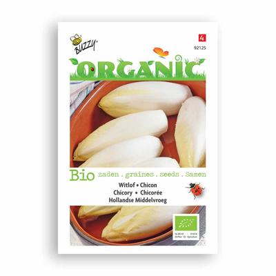 Zaden Organic Witlof Hollandse Middelvroeg (BIO) Buzzy - Buzzy