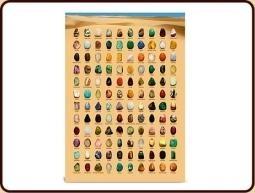 Ruben Robijn Edelsteen poster A2 (1 st)