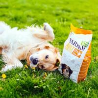 Yarrah Voedzaam biologisch droogvoer voor honden, voor alle volwassen honden, exquise biologische hondenbrokken met kip, 5 kg, 100% biologisch en vrij van kunstmatige toevoegingen - thumbnail