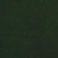 Eetkamerstoelen 2 st fluweel donkergroen - thumbnail