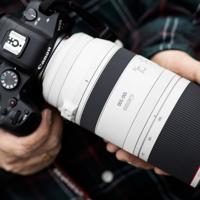 Canon RF 100-500mm F/4.5-7.1L IS USM - thumbnail