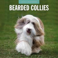 Bearded Collie Kalender 2026 - thumbnail