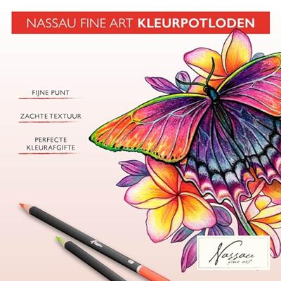 Kleurpotloden nassau fine art ass blik a 120st