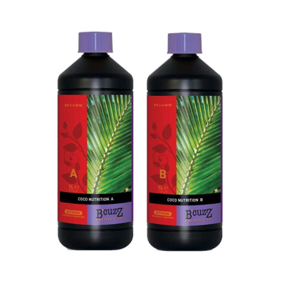 Atami Atami B'cuzz Coco