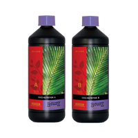 Atami Atami B'cuzz Coco - thumbnail