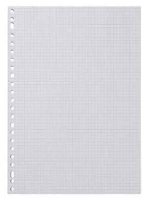 HEMA Ringbandpapier geruit 5x5mm - 100 stuks