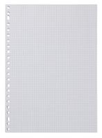 HEMA Ringbandpapier geruit 5x5mm - 100 stuks - thumbnail