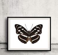 Goki houten druk en schud dier - thumbnail