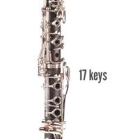 Odyssey Wind Instruments OCL120 Debut Bb Clarinet klarinet met koffer - thumbnail