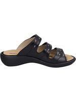 Westland IBIZA 66 - alle - thumbnail