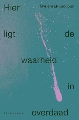 Hier ligt de waarheid in overdaad (Paperback)