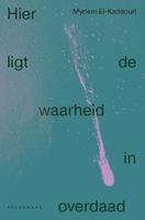 Hier ligt de waarheid in overdaad (Paperback) - thumbnail