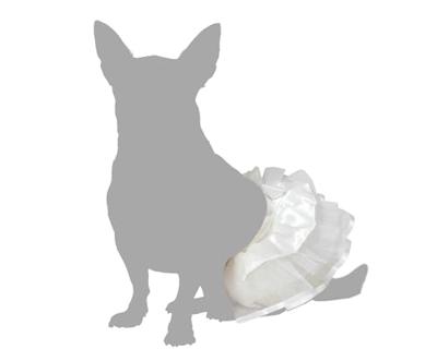 Kostuum voor honden Maat M Tutu - thumbnail