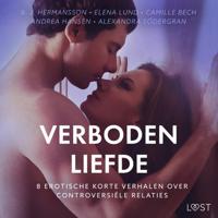Verboden liefde - 8 Erotische korte verhalen over controversiële relaties - thumbnail