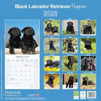Labrador Retriever Zwart Puppies Kalender 2026 - thumbnail