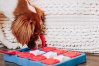 Nina Ottosson dog brick turquoise / rood - thumbnail