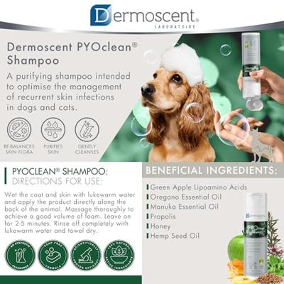Dermoscent PYOclean Shampoo voor hond en kat 200 ml - thumbnail