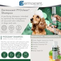 Dermoscent Pyoclean Shampoo Hond Kat Fl 200ml - thumbnail
