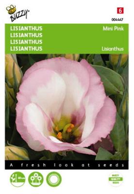 Lisianthus mini roze